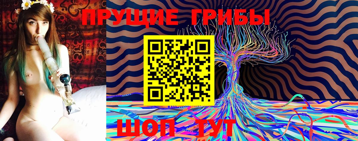 Псилоцибиновые грибы Psilocybe Горячий Ключ