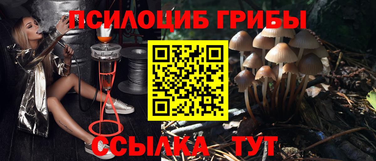 Галлюциногенные грибы Psilocybe  Вход с VPN  Горячий Ключ 